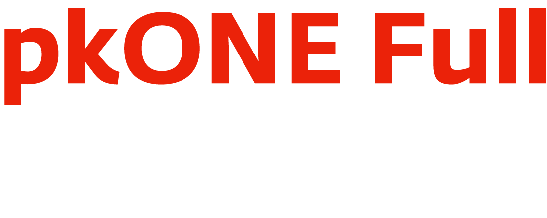 Schriftzug pkONE Full  Arbeitgeber als Verlinkung zum Portalzugang für B2B-Kunden