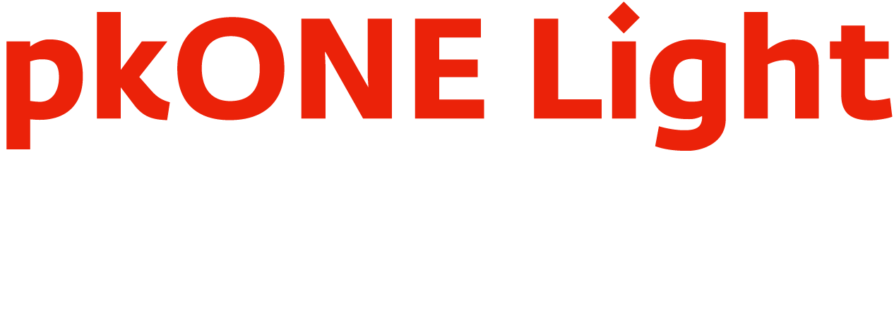 Schriftzug pkONE Light Arbeitgeber als Verlinkung zum Portalzugang für B2B-Kunden